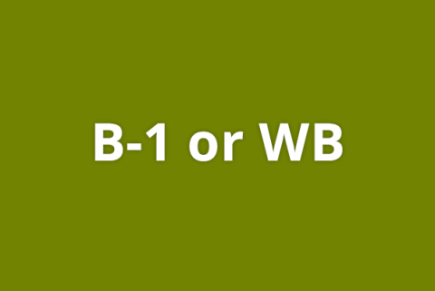 B-1 or WB on green background
