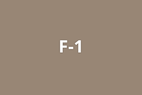 F-1 on a light brown background