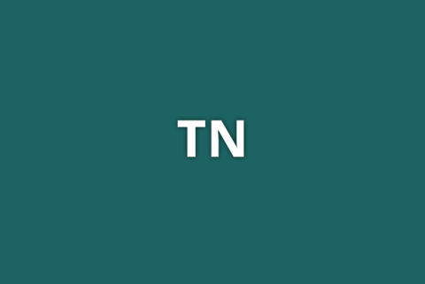TN on top of a dark teal background